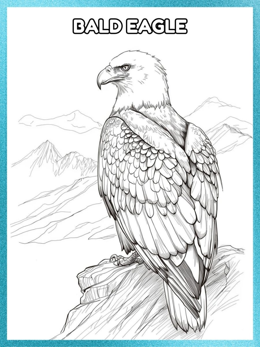 North American Animals Coloring Book (Printable PDF) North American Animals Coloring Book (Printable PDF)